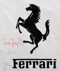 Ferrari Rodeo Drive Banner